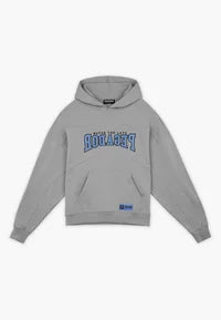 H23_BEECH BOXY HOODIE - Hoodie - washed cool grey