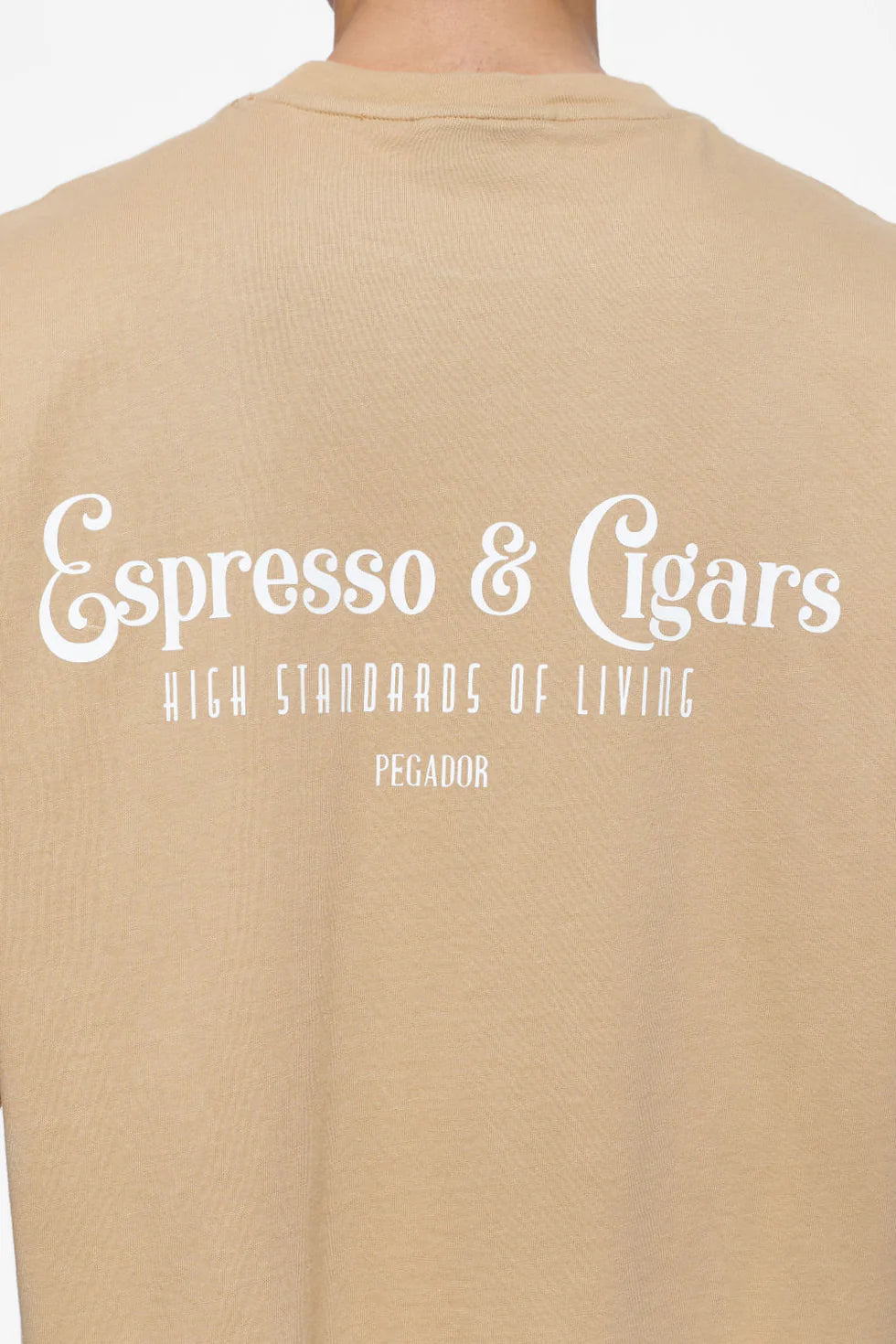 T33_Racoon Boxy Tee Vintage Washed Espresso