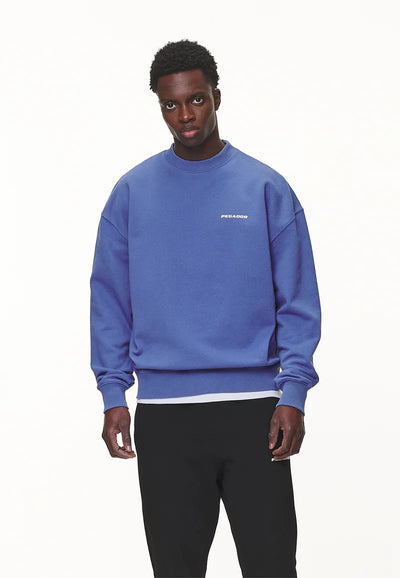 H25_LOGO OVERSIZED - Sweatshirt - washed Retro Blue