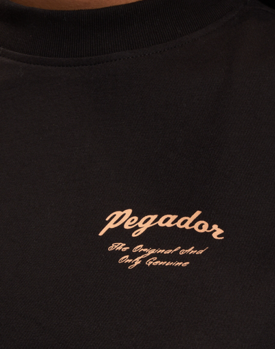 T2_Mingo Heavy Oversized