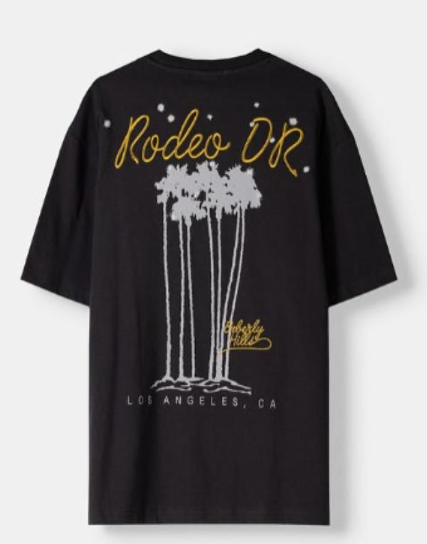 Bershka Short Sleeved Embroidered Relax Fit Tshirt